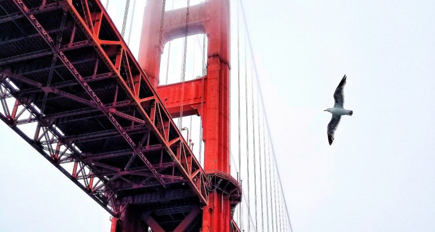 E-Business Suite simplified development with APEX