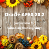 Oracle APEX 20.2 New Features